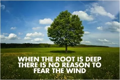 When the root is deep there is no reason to fear the wind Picture Quote #1