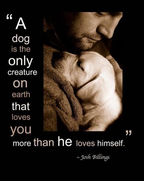 A dog is the only thing on Earth that loves you more than he loves himself Picture Quote #3