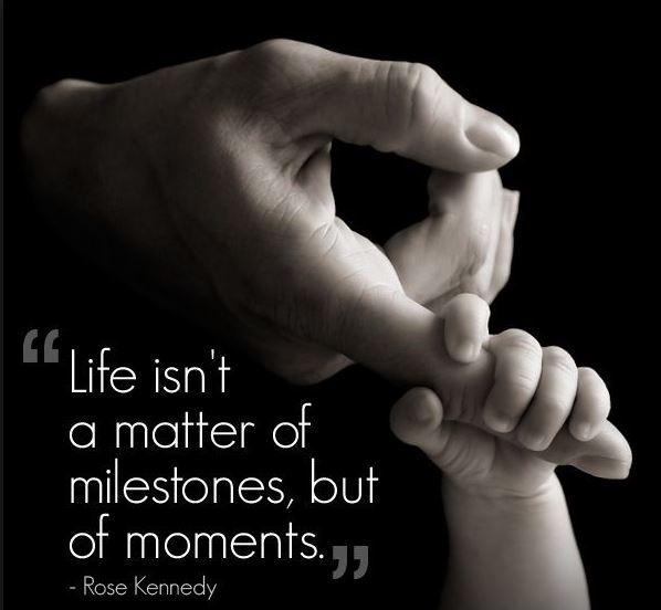 Life isn't a matter of milestones, but of moments Picture Quote #2