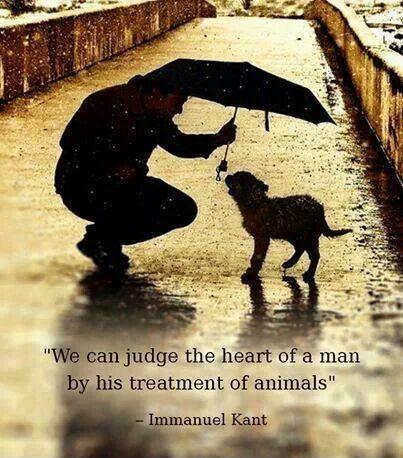 We can judge the heart of a man by his treatment of animals Picture Quote #1