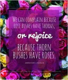 We can complain because rose bushes have thorns, or rejoice because thorn bushes have roses Picture Quote #1