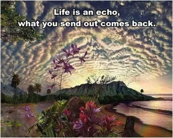 Life is an echo, what you send out comes back Picture Quote #1
