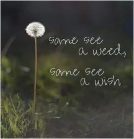 Some see a weed, some see a wish Picture Quote #1