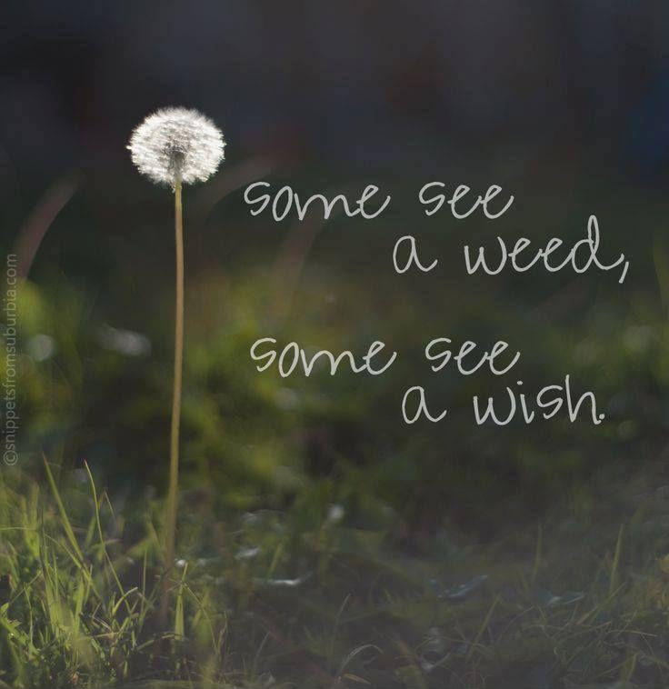 Some see a weed, some see a wish Picture Quote #1