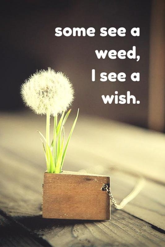 Some see a weed, some see a wish Picture Quote #2
