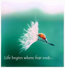 Life beings where fear ends Picture Quote #1