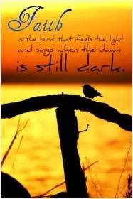 Faith is the bird that feels the light and sings when the dawn is still dark Picture Quote #1