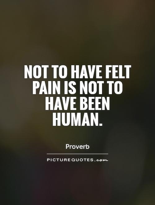 Not to have felt pain is not to have been human Picture Quote #1