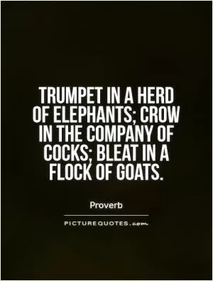 Trumpet in a herd of elephants; crow in the company of cocks; bleat in a flock of goats Picture Quote #1