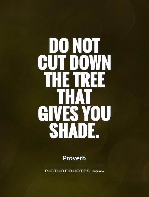 Do not cut down the tree that gives you shade Picture Quote #1