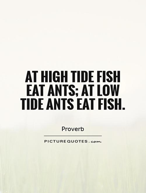 At high tide fish eat ants; at low tide ants eat fish Picture Quote #1