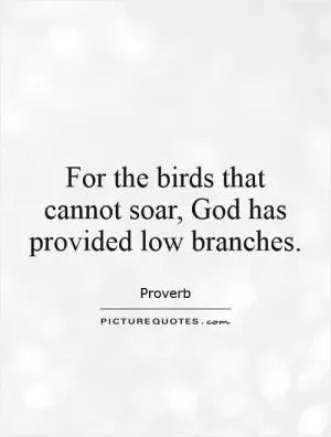 For the birds that cannot soar, God has provided low branches Picture Quote #1