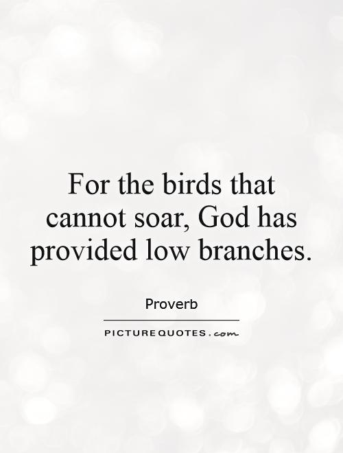 For the birds that cannot soar, God has provided low branches Picture Quote #1