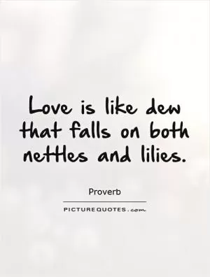 Love is like dew that falls on both nettles and lilies Picture Quote #1