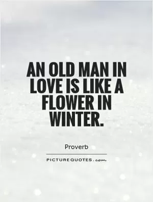 An old man in love is like a flower in winter Picture Quote #1