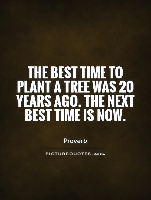 The best time to plant a tree was 20 years ago. The next best time is now Picture Quote #1