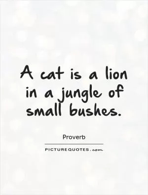 A cat is a lion in a jungle of small bushes Picture Quote #1