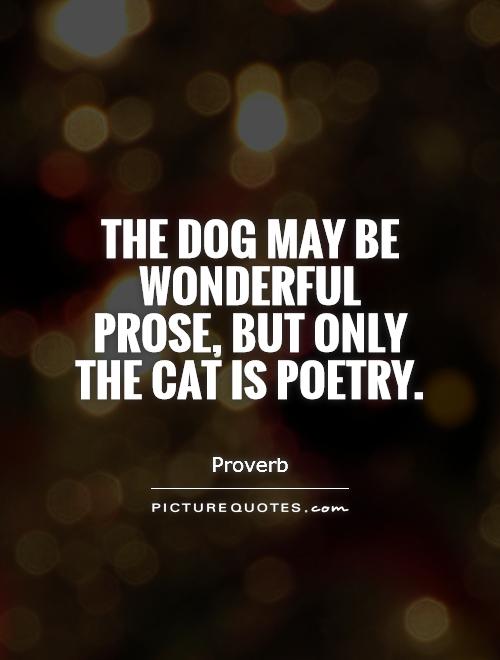 The dog may be wonderful prose, but only the cat is poetry Picture Quote #1