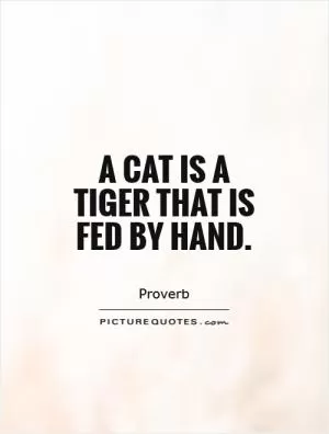 A cat is a tiger that is fed by hand Picture Quote #1