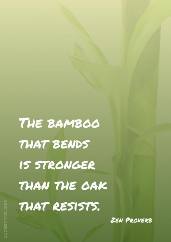 The bamboo that bends is stronger than the oak that resists Picture Quote #1