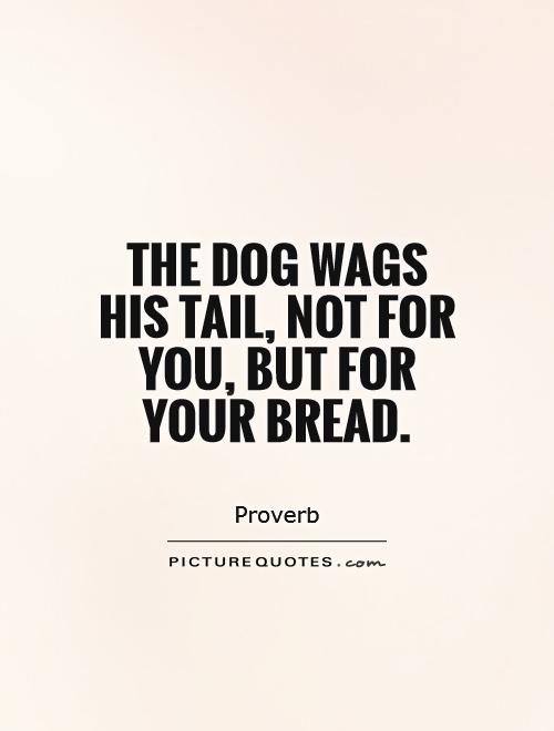 The dog wags his tail, not for you, but for your bread Picture Quote #1