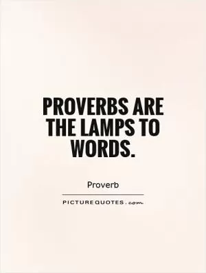 Proverbs are the lamps to words Picture Quote #1