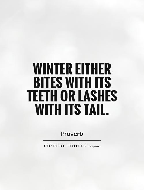 Winter either bites with its teeth or lashes with its tail Picture Quote #1
