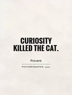 Curiosity killed the cat Picture Quote #1