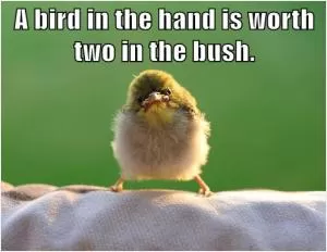 A bird in the hand is worth two in the bush Picture Quote #1