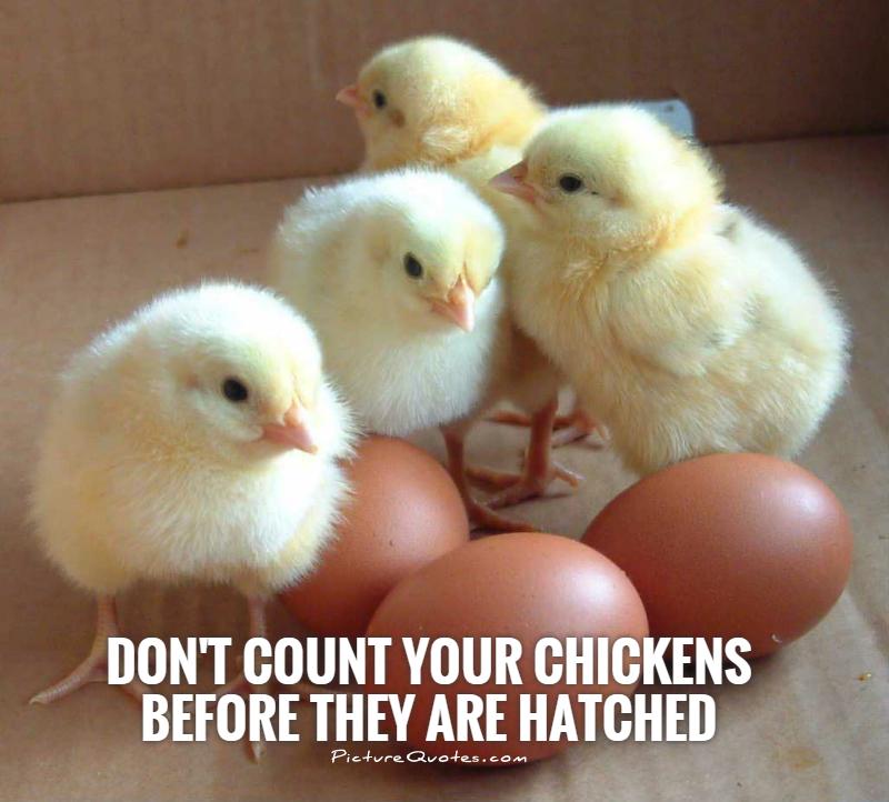 Don't count your chickens before they are hatched Picture Quote #1