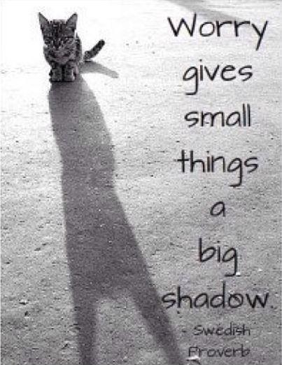 Worry give small things a big shadow Picture Quote #1