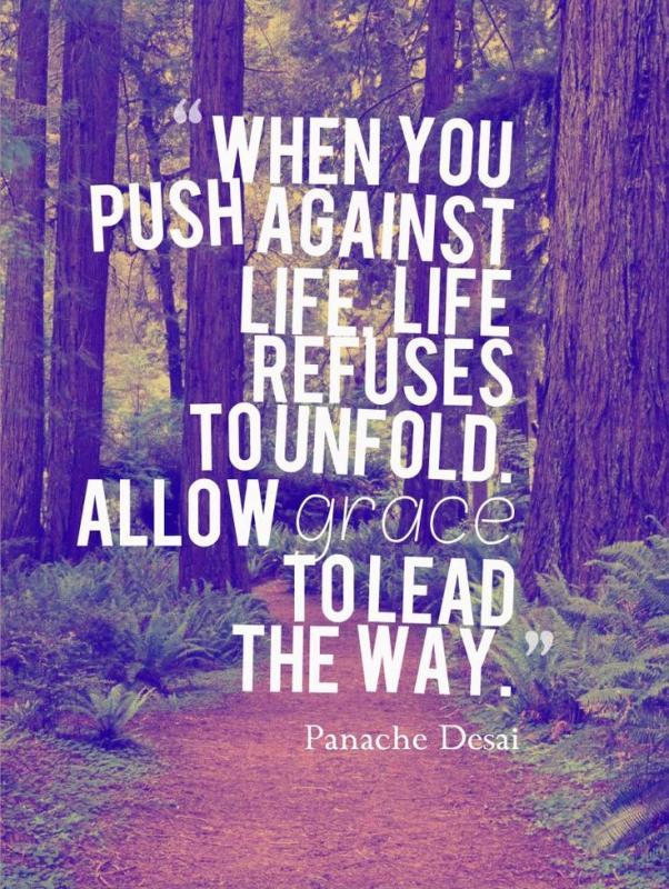 When you push against life, life refuses to unfold. Allow grace to lead the way Picture Quote #1