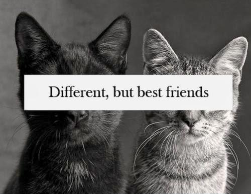 Different but best friends Picture Quote #2