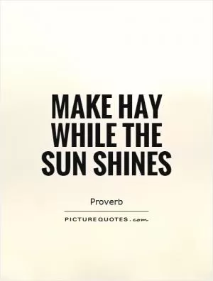Make hay while the sun shines Picture Quote #1