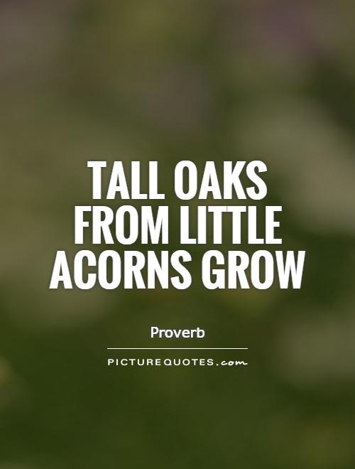 Tall oaks from little acorns grow Picture Quote #1