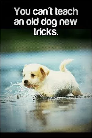 You can't teach an old dog new tricks Picture Quote #1