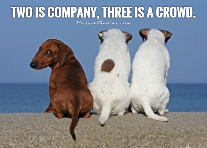 Two is company, three is a crowd Picture Quote #1