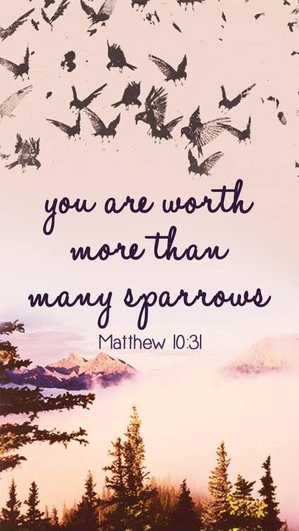 You are worth more than many sparrows Picture Quote #1
