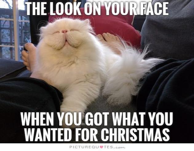 The look on your face when you got what you wanted for Christmas Picture Quote #1