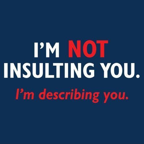 I'm not insulting you. I'm describing you Picture Quote #1