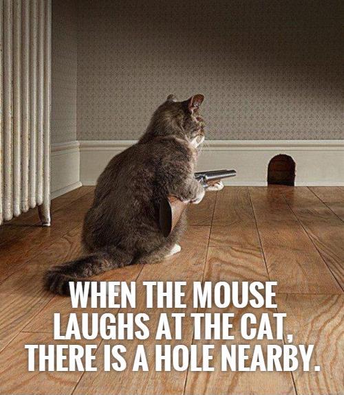 When the mouse laughs at the cat, there is a hole nearby Picture Quote #1