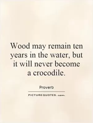 Wood may remain ten years in the water, but it will never become  a crocodile Picture Quote #1