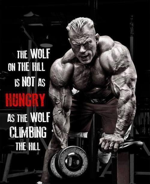 The wolf on the hill is not as hungry as the wolf climbing the hill Picture Quote #2