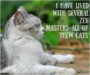 I have lived with several Zen masters - all of them cats Picture Quote #1