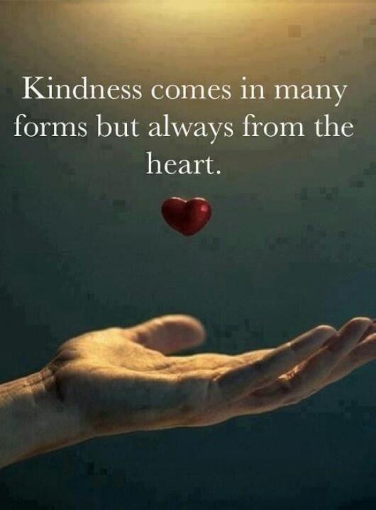 Kindness comes in many forms but always from the heart Picture Quote #1