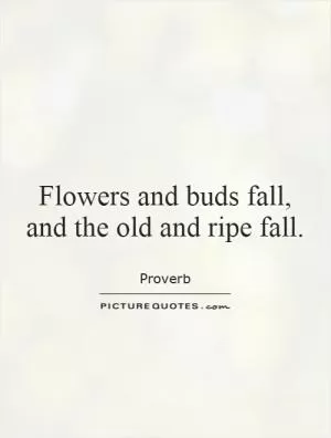 Flowers and buds fall, and the old and ripe fall Picture Quote #1