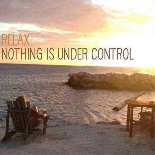 Relax. Nothing is under control Picture Quote #1