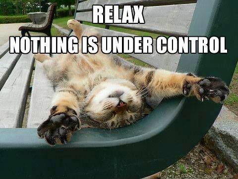 Relax. Nothing is under control Picture Quote #3