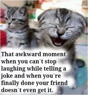That awkward moment when you can't stop laughing while telling a joke and when you're finally done your friend doesn't even get it Picture Quote #1