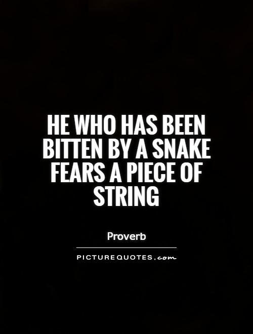 He who has been bitten by a snake fears a piece of string Picture Quote #1